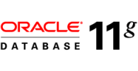 Oracle Database 11g